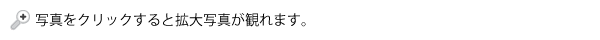 ʐ^NbNƊgʐ^ς܂